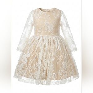 Elegant Lace Floral Dress